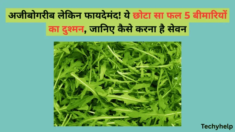 अरुगुला (Arugula) बेनिफिट्स